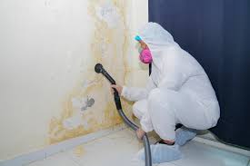 Best Biohazard Mold Removal  in Cheswold, DE